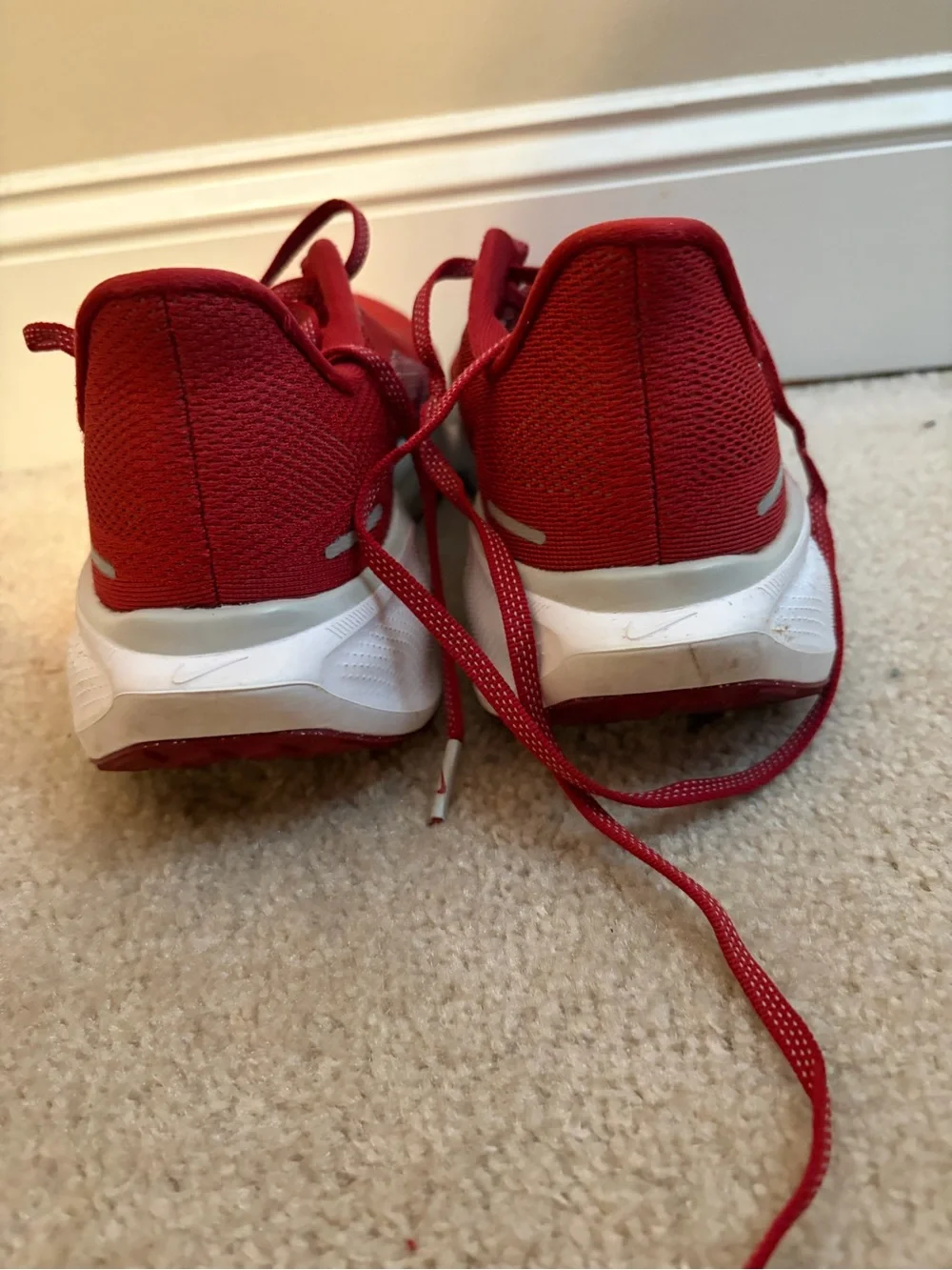 Nike Pegasus 41 Alabama Shoes